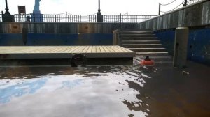 GTA 4 Epic Ragdolls Episode 8 (Euphoria Showcase)