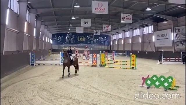 Элементы МП, конкур 105. Кобыла, 175 см. в холке. смотреть онлайн
