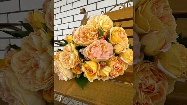 Все эти и многие друг сорта в наличии на сайте annaroz.ru смотреть онлайн