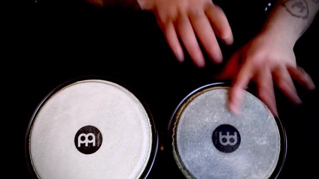 ✅ Meinl HB50BK Headliner Series Acrylic Bongo || VISUAL & SOUND DEMO 🔊 #bongos #productreview