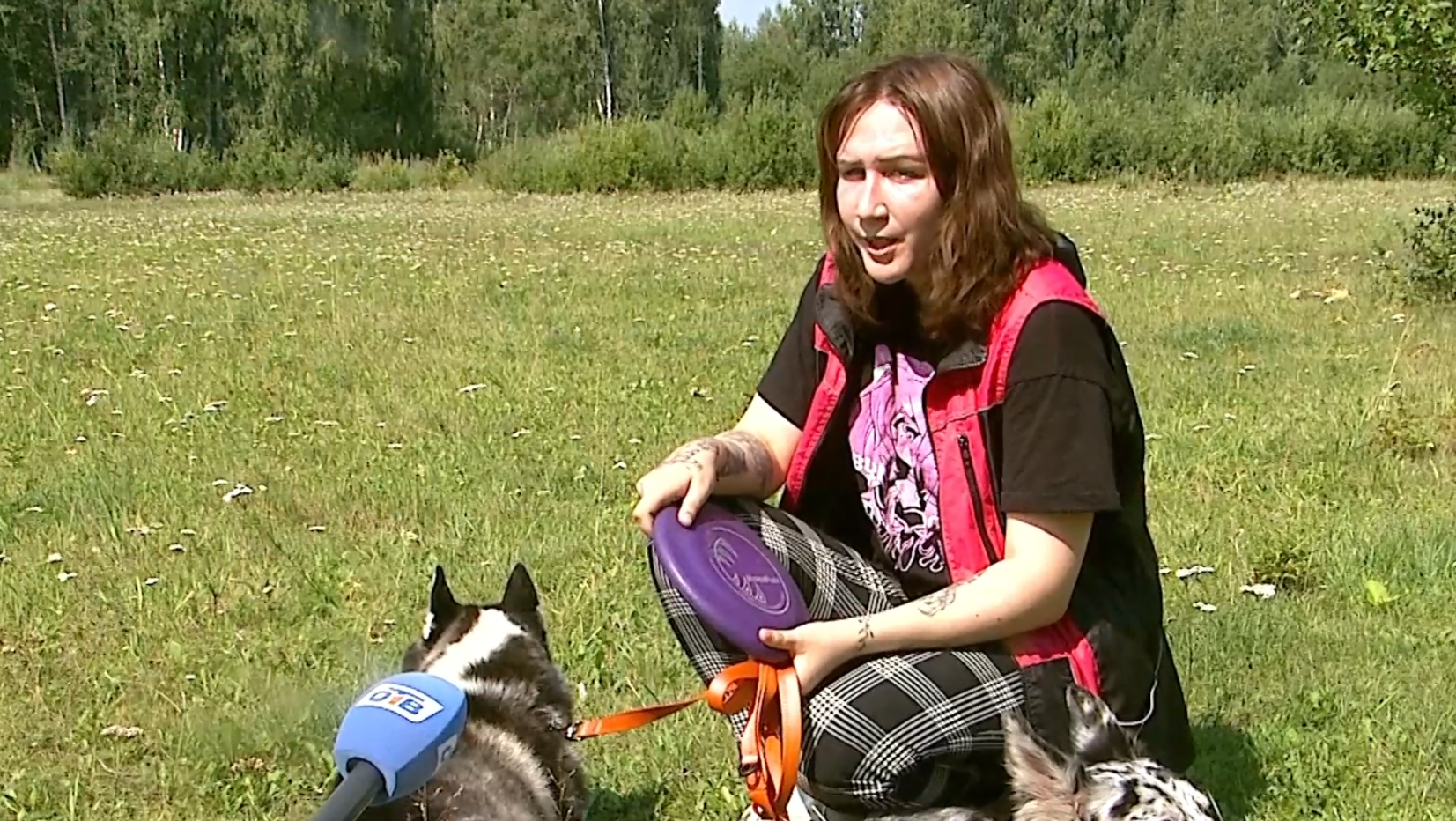 В Челябинске мужчина избил девушку-кинолога, которая выгуливала своих собак смотреть онлайн