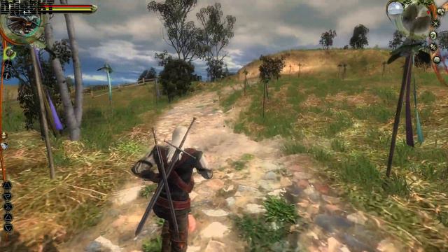 ▶The Witcher. Глава 4: На ярком солнце: Найти осколки зеркала в полях и восстановить его. #118 смотреть онлайн