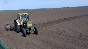 ЮМЗ-6АЛ и культиватор КНС-4