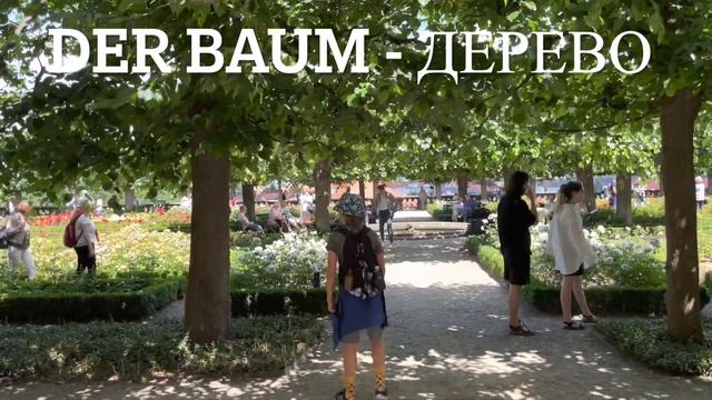 Прогулка по Бамбергу. Учим немецкий. Нескучные уроки. Bamberg. Deutschland. смотреть онлайн