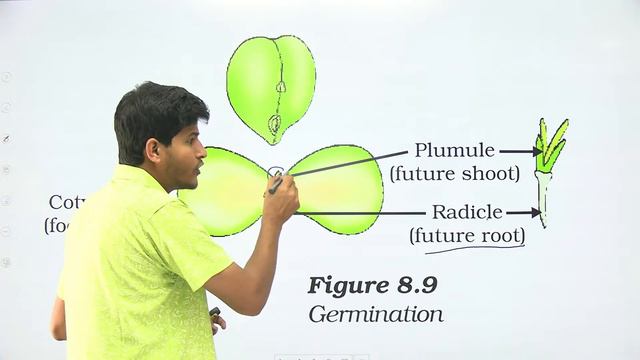 Railway ALP/Tech 2024-25 | Let's Crack Science | Class-8 | Free Batch | लाए पूरे 20 Marks #neerajsi смотреть онлайн