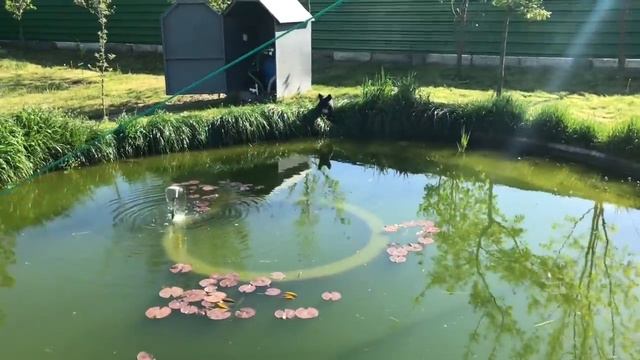 Сад Металлик подвязка и укрепление деревьев 3ч смотреть онлайн