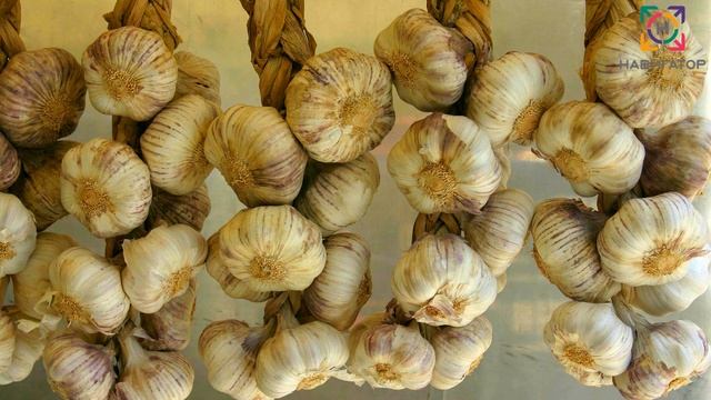 Пять(5) очень выгодных и прибыльных бизнес идей для деревни Выгодный бизнес.Бизнес идеи.Идеи бизнес смотреть онлайн