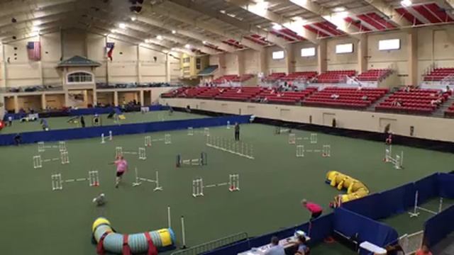 Java Master Jumpers, NQ смотреть онлайн