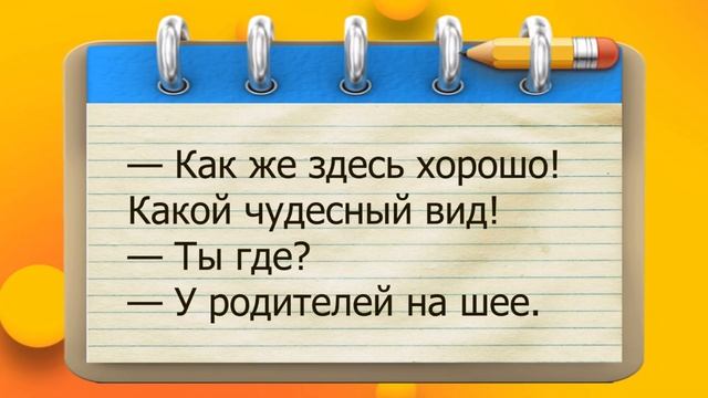 ✔️Всё хорошо в меру, кроме ЗАРПЛАТЫ. Приветуси от Волка уЛЫБатора.#ВГостяхУВолка смотреть онлайн