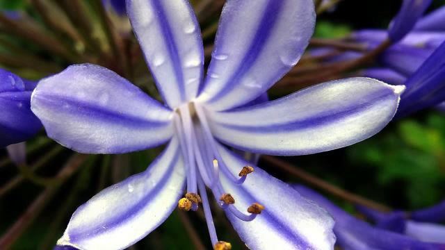 Слушать самую красивую русскую песню для сна смотреть смотреть онлайн