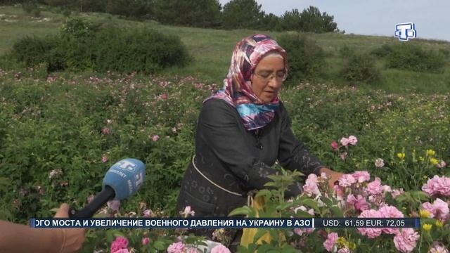 Крым зацвел всеми цветами смотреть онлайн