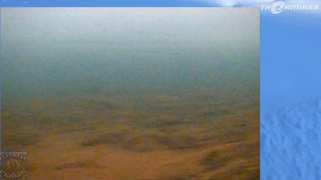 ЗАКЛЮЧИТЕЛЬНАЯ РЫБАЛКА НА ЛЕСНОЙ РЕЧКЕ #5 \ ЖИЗНЬ В ТАЙГЕ \ ХИТРАЯ ЩУКА \ ВИРТУАЛЬНАЯ РЕАЛЬНОСТЬ смотреть онлайн