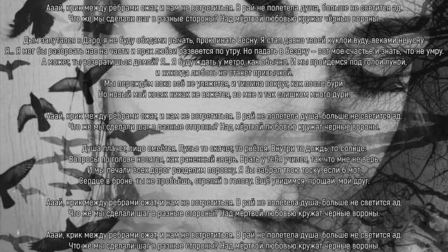 Вороны слова Юрий Николаенко NЮ