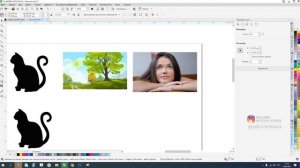 Урок 10. Из растра в вектор в Corel Draw 2020. Курс «От нуля до профессионала»