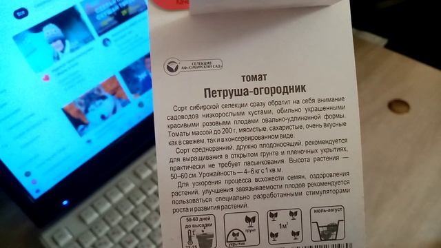 Шикарный сорт Помидор "ПЕТРУША" для Открытого Грунта. 30 марта 2022г. смотреть онлайн