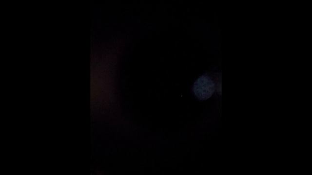 Crescent Nebula And North America Nebula In My Eight Inch Celestron Telescope