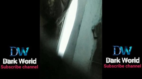 2023/Sonagachi Red light area inside room video