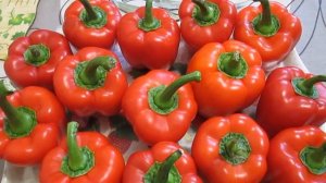 Перец сладкий сорт Красные щёчки.