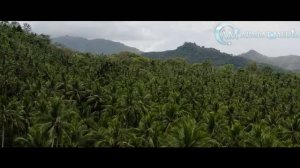 Как На Самом Деле Выглядит РАЙ