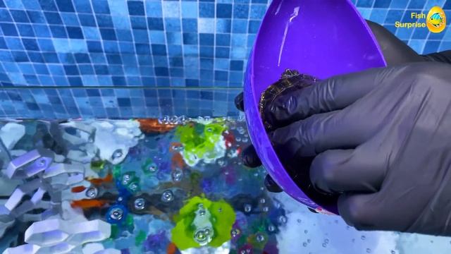 Colorful wheel of Fortune Surprise Eggs, Lobster, Snake, Koi, cichlid, Butterfly Fish, Goldfish смотреть онлайн