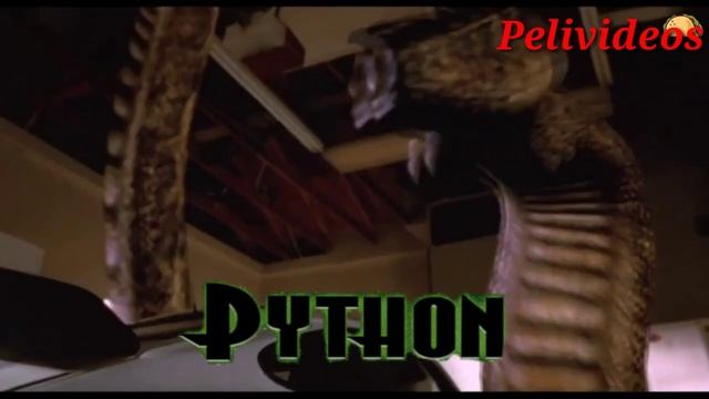 Anaconda Vs. Python | Pelivideos Oficial смотреть онлайн