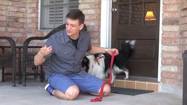 Train your Dog to STOP CHASING & LUNGING at CARS: Where to Start смотреть онлайн