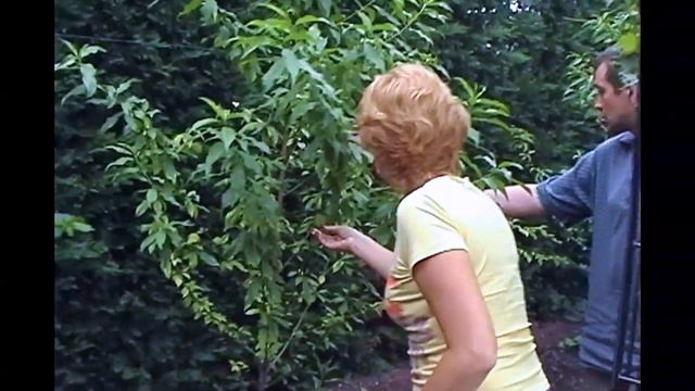 "Алиса П. в Берлине" (ч. первая "Дядя Эрик") смотреть онлайн