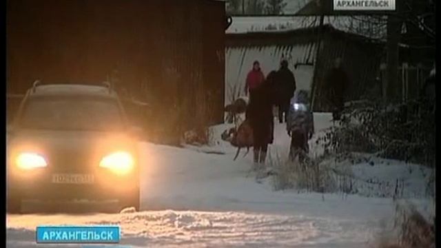 Изменения ПДД обяжут россиян носить светоотражатели смотреть онлайн