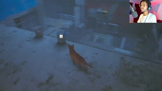 BAD CAT ADVENTURE ? || STRAY #1 смотреть онлайн