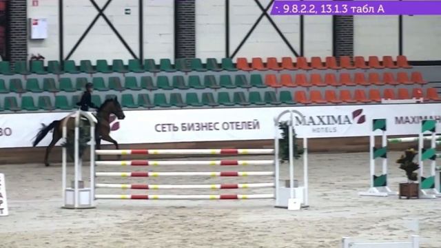 SOLD Кобыла 2010 г.р. смотреть онлайн