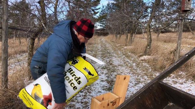 Winter Routine for the Permaculture Orchard & How to open a Bag without cutting смотреть онлайн