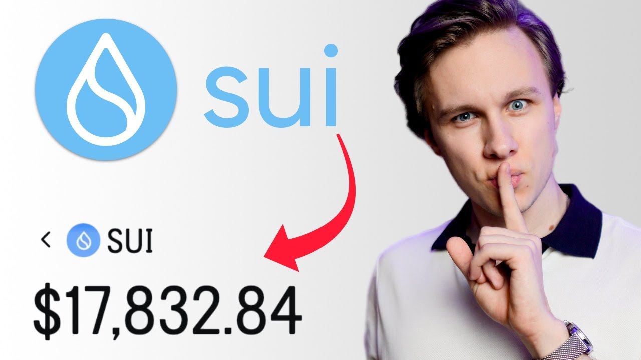 КАК ПРАВИЛЬНО СТЕЙКАТЬ SUI