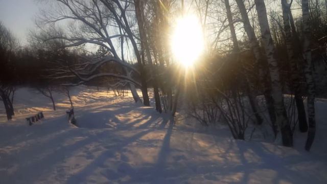 Зима в Заказнике Долины реки Сетунь в Куркино Москва часть 2 смотреть онлайн