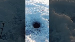 Рыбалка Хмао на Кондинских просторах