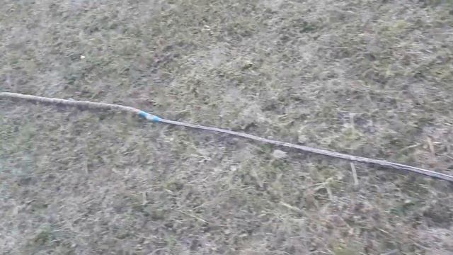 Долгожданный ХЛОПОК КНУТОМ !   :)