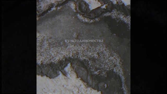 культодиночества - 25 смотреть онлайн