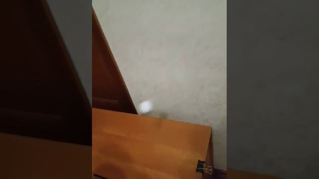 Тренажер для настольного тенниса смотреть онлайн