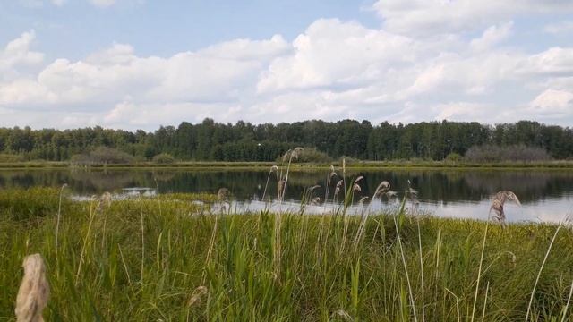 Рыбалка на Жёлтого карася | Отдых на Родине | Разговор про пожары и Охотников смотреть онлайн