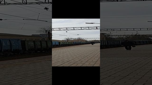 VID_20230416_101756.mp4