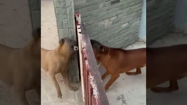 1381273045588.mp4 смотреть онлайн