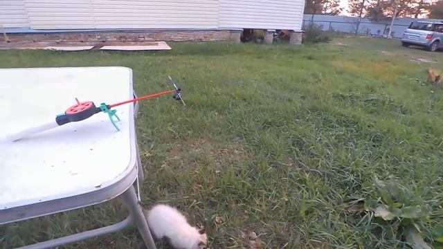 Кивок щербакова, принцип работы, настройка. смотреть онлайн