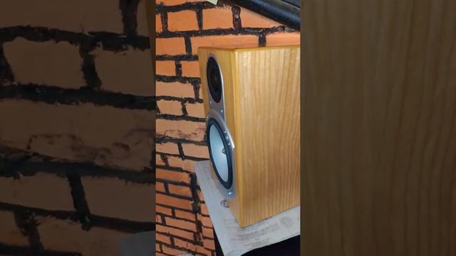 Monitor Audio Silver RS 1 смотреть онлайн
