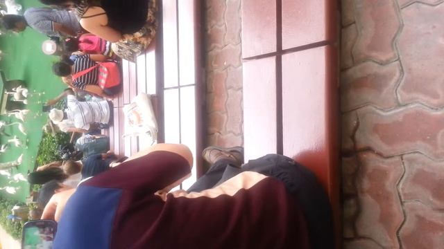 pools amphitheatre смотреть онлайн