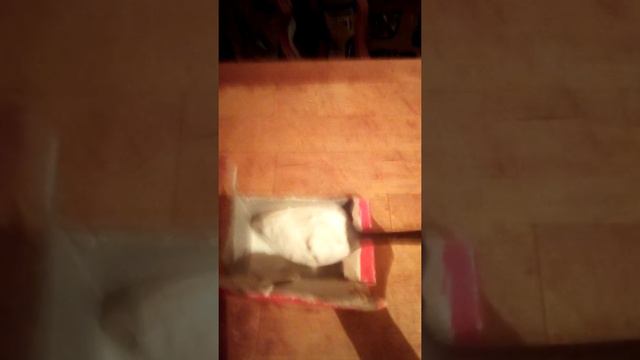 Как поласкать зубной флюс с гноям смотреть онлайн