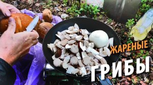 #19 Побег из плена ветра | Жареные грибы | Поход 2021