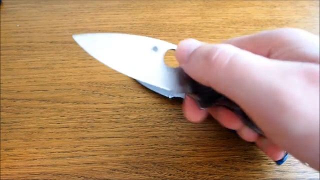 Spyderco Sage 1 Vs Spyderco Native 5 Dark Blue FRN CPM S110V
