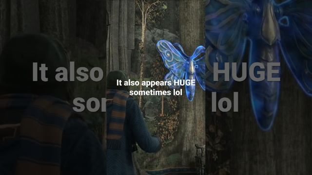 Hogwarts Legacy - Sphinx Moth “bug” issue смотреть онлайн
