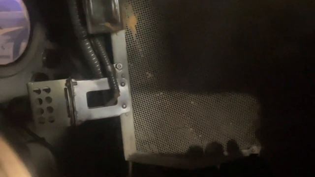 Первые животные в космосе смотреть онлайн