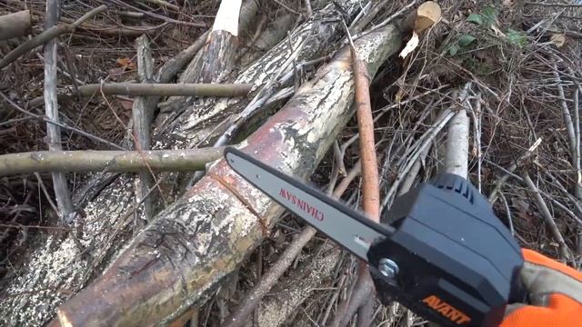 Тест в реальных условиях. STIHL GTA 26 против AVANT 24 Volt. Ручные беспроводные мини пилы смотреть онлайн
