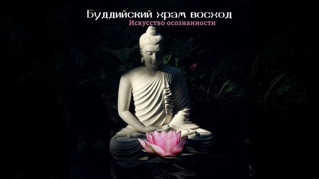 Восточные позитивные флюиды смотреть онлайн